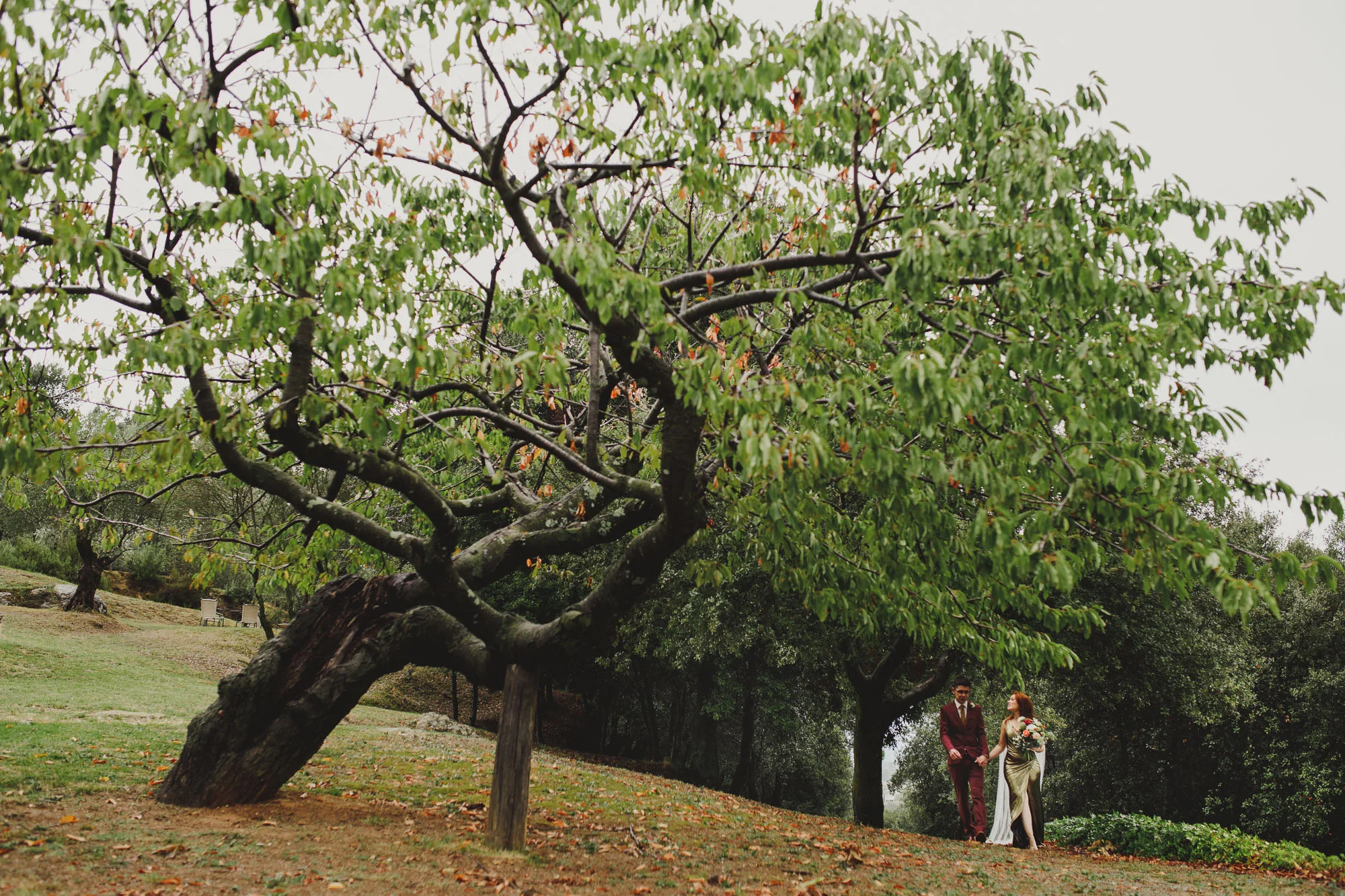 Fotografia de casament · Àlex Tremps