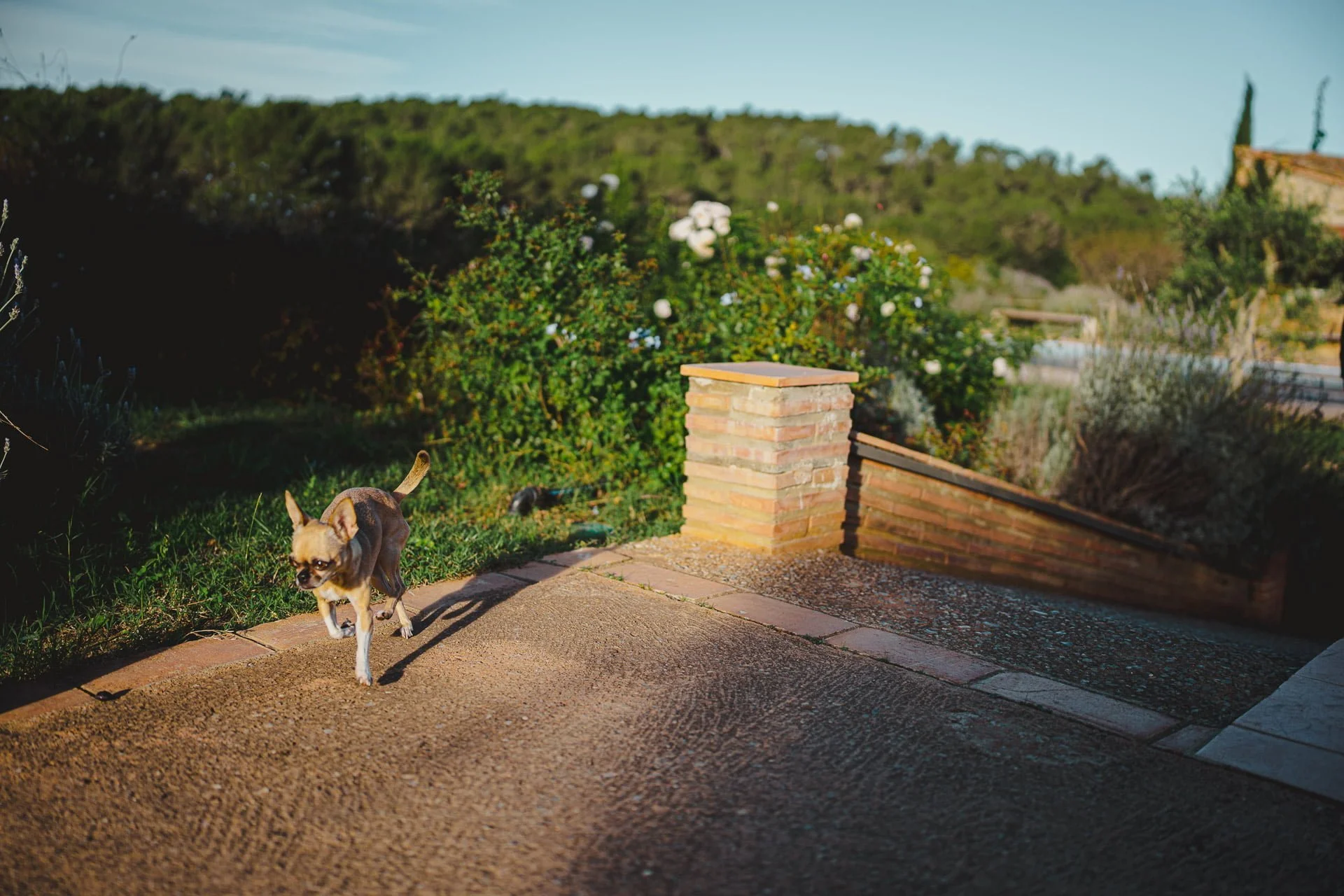 Weddings in Girona - Original Couple Weddings - Nice Photography