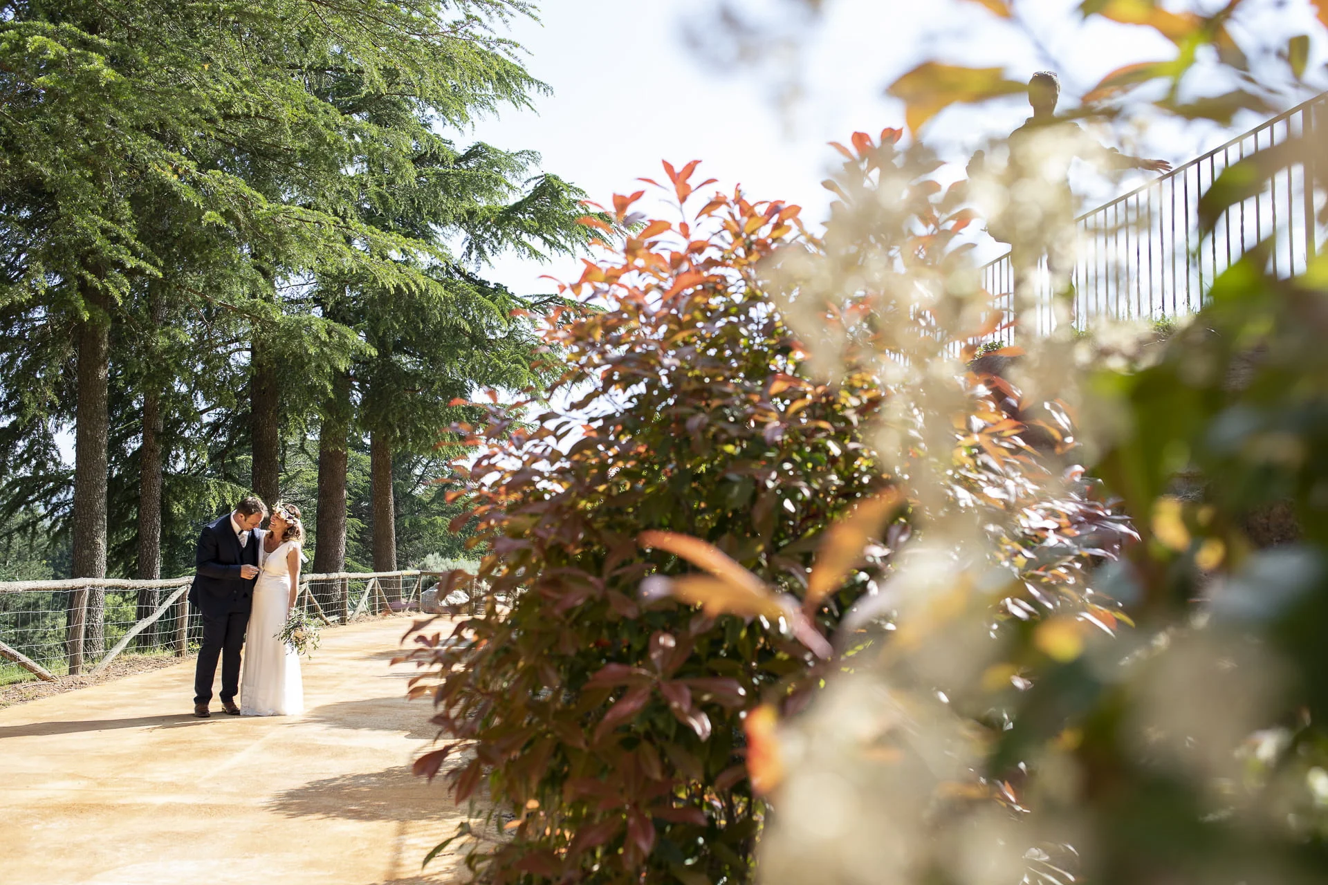Fotografia de casament · Àlex Tremps